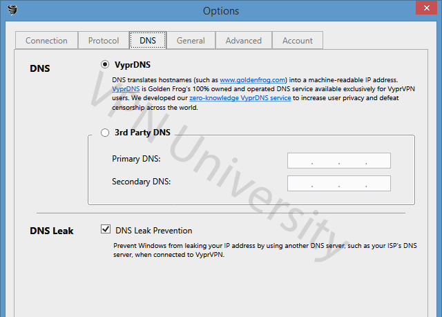 VyprVPN DNS settings
