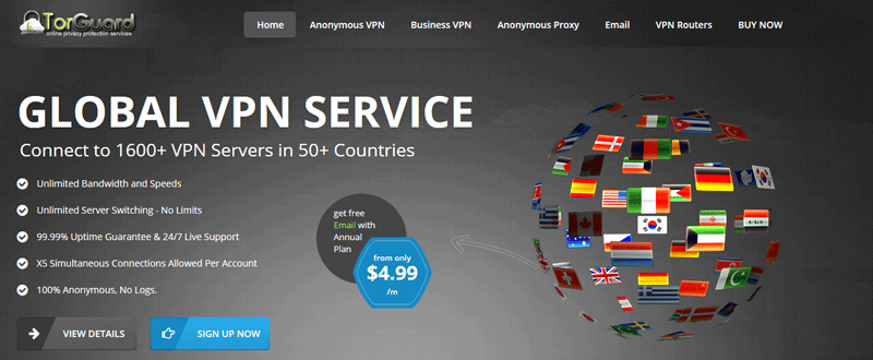 Screenshot of Torguard's website