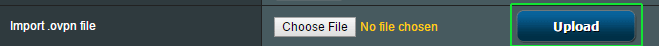 Upload the ovpn file to router